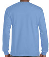 GD14 Carolina Blue Back